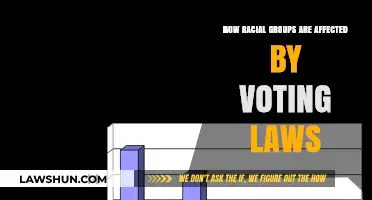 Racial Disparities in Voting: How Laws Impact Diverse Communities