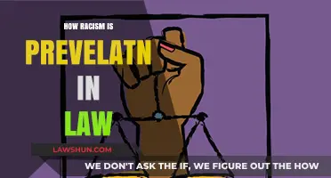 Racism in the Legal System: A Pervasive Issue