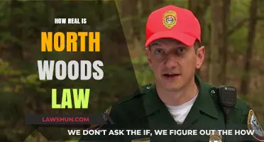 Unraveling the Authenticity of North Woods Law: A Deep Dive