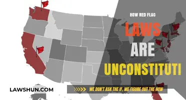 Challenging Red Flag Laws: A Constitutional Perspective