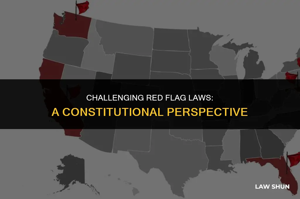 how red flag laws are unconstitutional