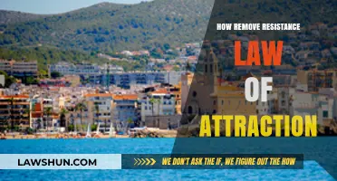 Overcoming Resistance: Unlock the Law of Attraction's Full Potential
