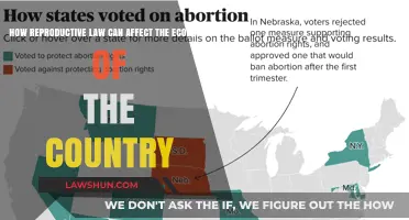 Reproductive Laws: Shaping Country's Economy