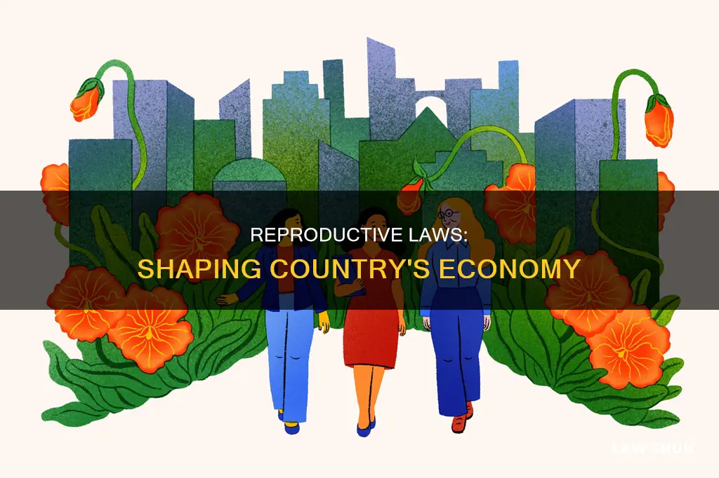 how reproductive law can affect the economy of the country