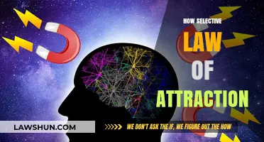 Mastering the Selective Law of Attraction: Focus, Intent, and Manifestation