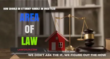 Navigating Unsettled Law: Strategic Approaches for Attorneys to Manage Ambiguity