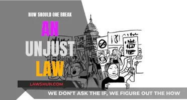 Breaking Unjust Laws: When and How to Take a Stand