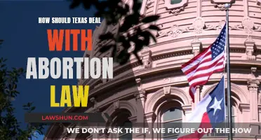 Texas Abortion Law: What's Next?