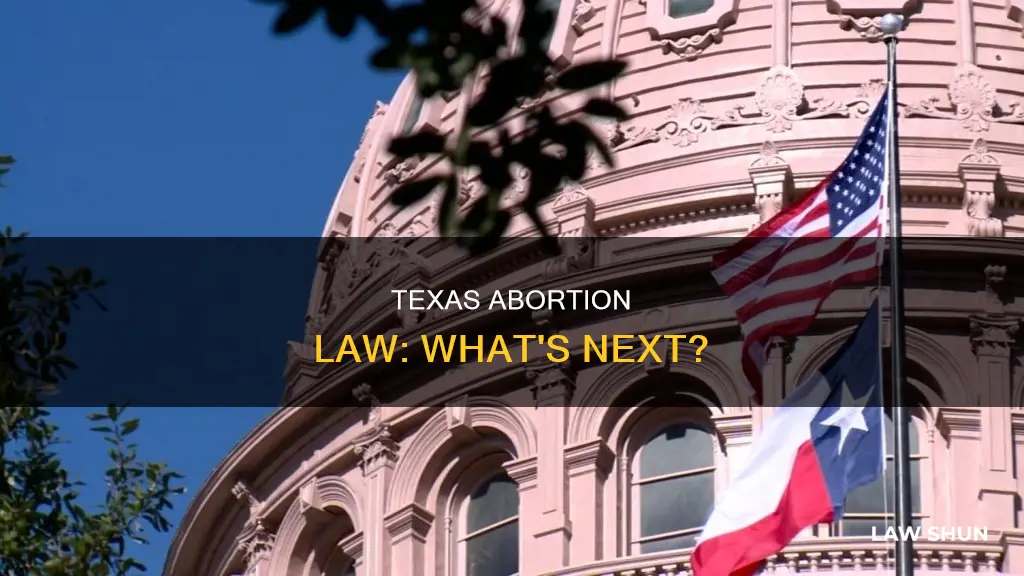 how should texas deal with abortion law