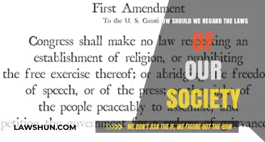 Respecting Society's Laws: Balancing Compliance, Critique, and Civic Responsibility