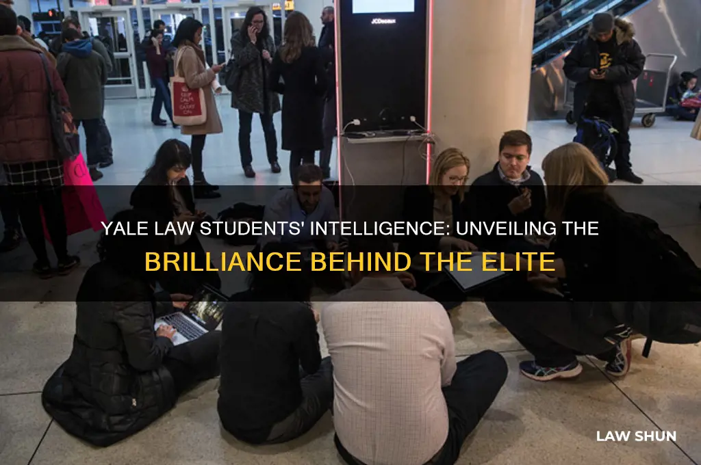 how smart are yale law students
