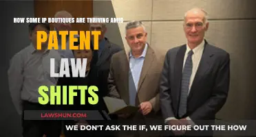 IP Boutiques Adapt and Thrive Amid Evolving Patent Law Landscape