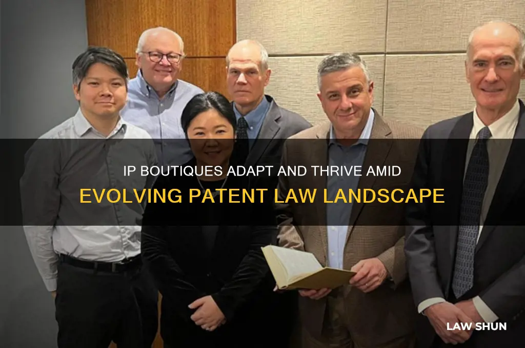how some ip boutiques are thriving amid patent law shifts