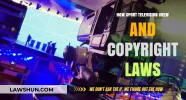 Sport TV's Evolution: Copyright Laws Shaping Broadcast Growth