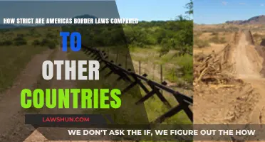 Comparing US Border Laws: How Strict Are They Globally?