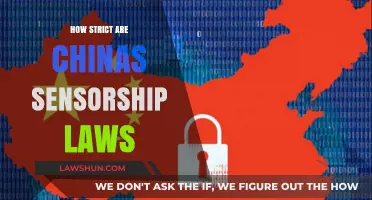 Exploring the Rigidity of China's Censorship Laws: A Comprehensive Overview