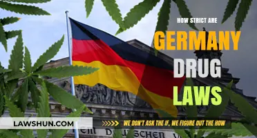 Navigating Germany's Drug Laws: A Comprehensive Guide