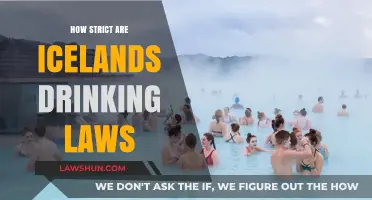 Exploring Iceland's Drinking Laws: A Comprehensive Guide