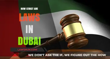 Navigating Dubai's Legal Landscape: Understanding the Strictness of Laws