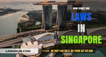 Navigating Singapore's Legal Landscape: A Guide to Its Strict Laws