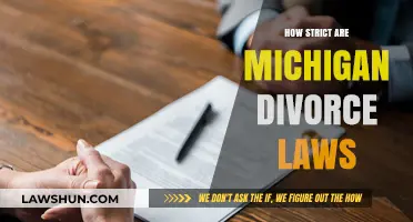 Understanding Michigan's Divorce Laws: Are They as Strict as You Think?