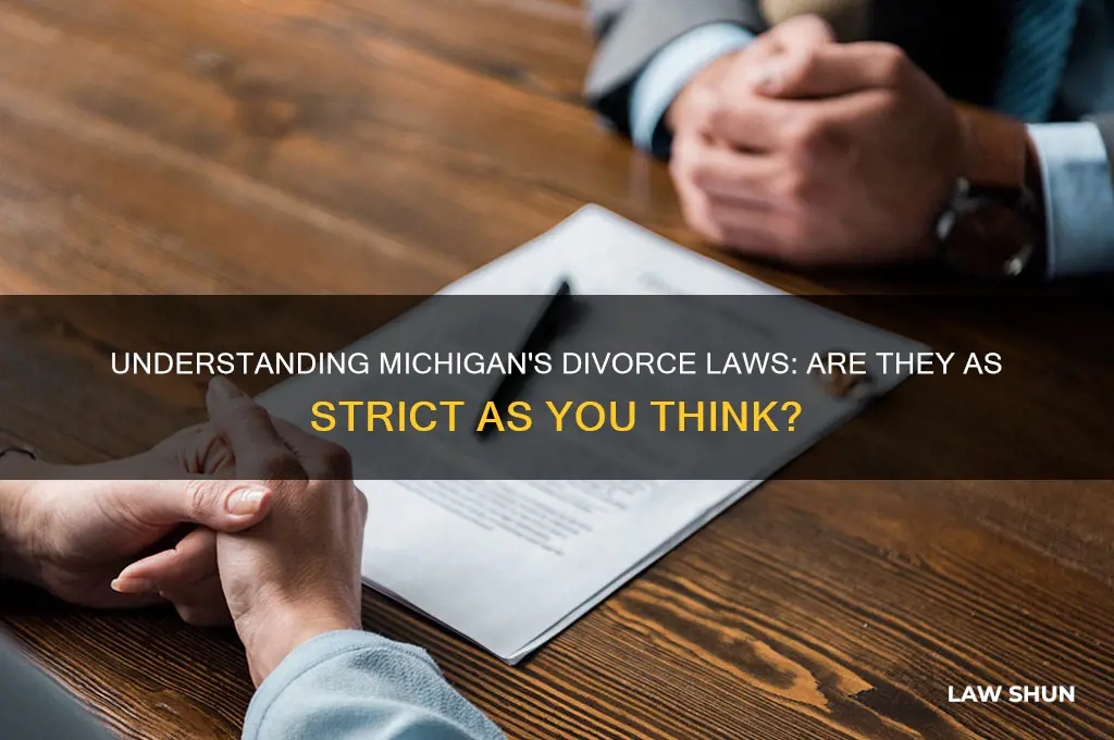 how strict are michigan divorce laws