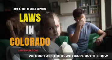 Colorado Child Support Laws: Understanding Strict Enforcement and Compliance