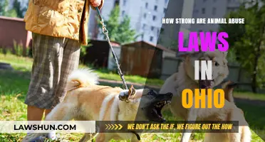 Ohio's Animal Abuse Laws: Strengths, Weaknesses, and Enforcement Challenges