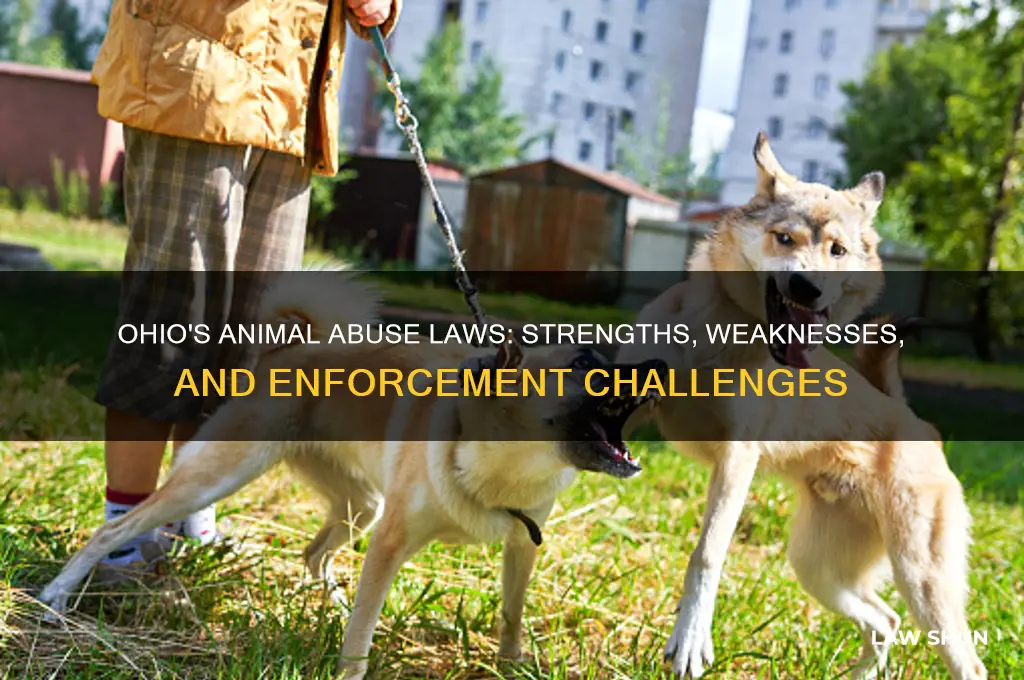 how strong are animal abuse laws in ohio