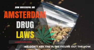 Amsterdam's Drug Laws: A Model of Success or a Cautionary Tale?