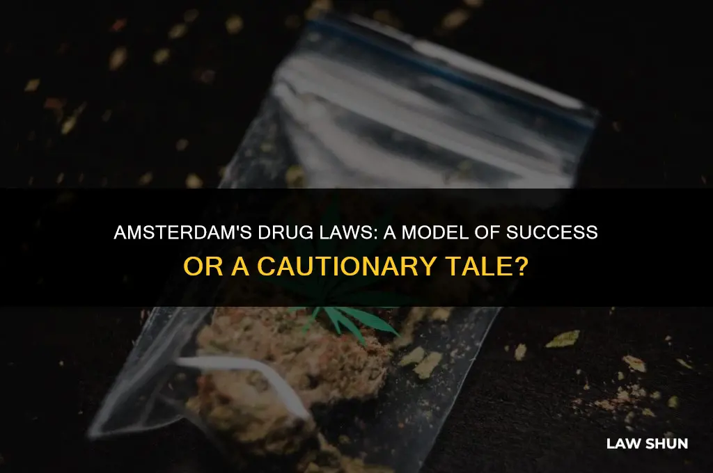 how successful are amsterdam drug laws
