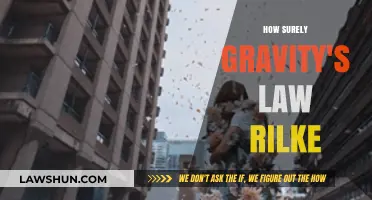 Exploring the Inevitability of Gravity's Law in Rilke's Poetry