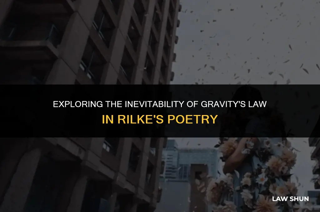 how surely gravity