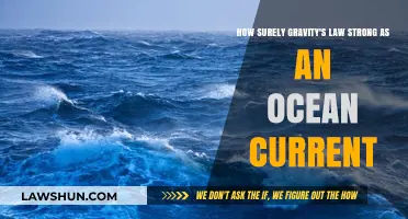 Gravity's Grip: Unraveling the Ocean's Current and Universal Force