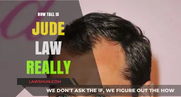 Unveiling the Truth: Jude Law's Real Height Revealed