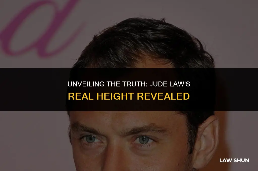how tall is jude law really