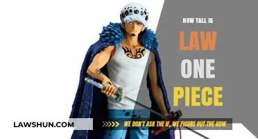 Unveiling the Astonishing Height of Law in One Piece