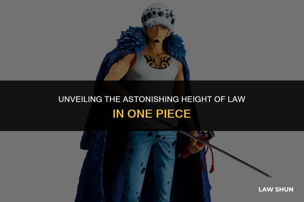 how tall is law one piece
