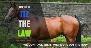 Exploring the Height of Rap Sensation Tiz the Law