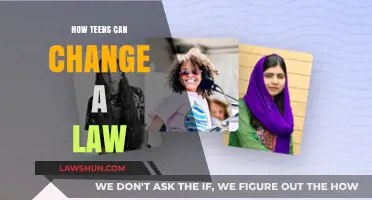 Teens: How to Change Laws and Make an Impact