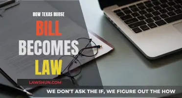 Texas House Bills: Laws in the Making