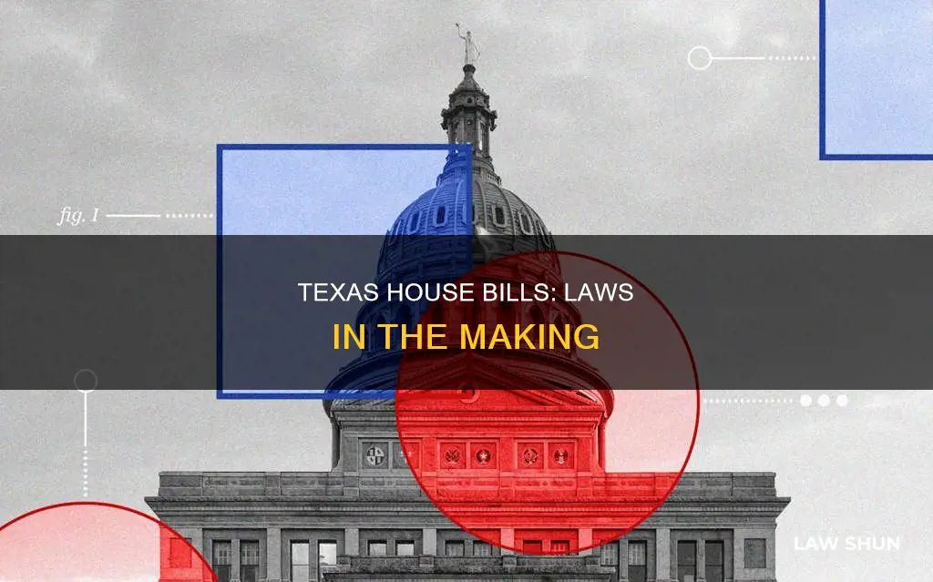 how texas house bill becomes law