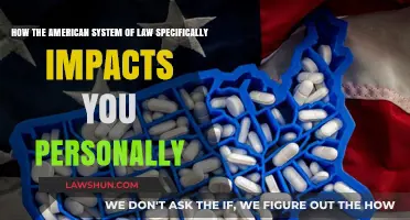 How U.S. Law Shapes Your Daily Life and Rights