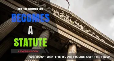 The Evolution of Common Law to Statute