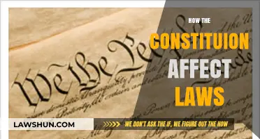 How the Constitution Shapes and Governs Modern Laws