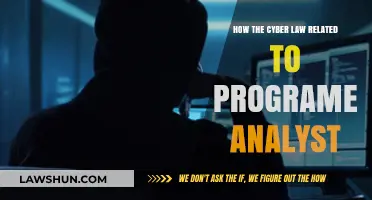 Cyber Law Essentials for Programmer Analysts: Navigating Legal Compliance