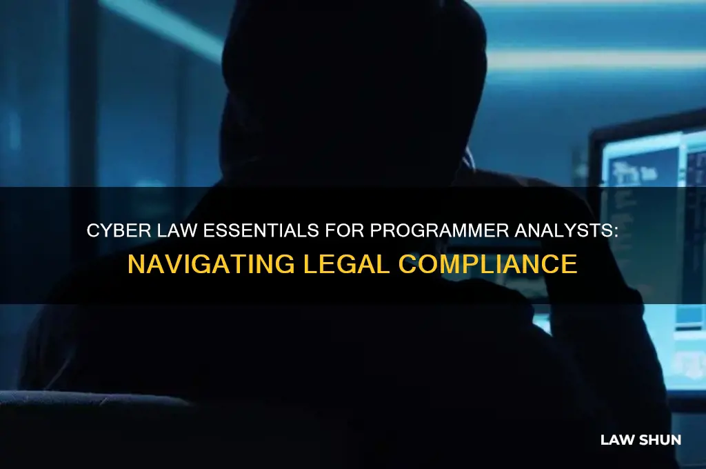 how the cyber law related to programer analyst