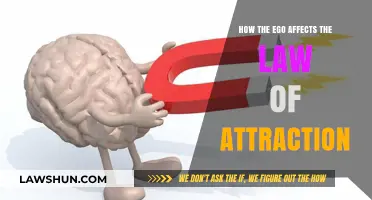 Ego's Role in Shaping Your Law of Attraction Journey