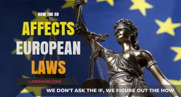 EU Influence: Shaping European Laws and Policies Across Nations