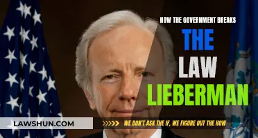 Government Law-Breaking: Lieberman's Legacy